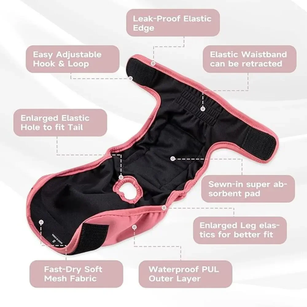 Paw Legend Washable Female Dog Diapers Reusable, Size M Black & Turquoise Velcro